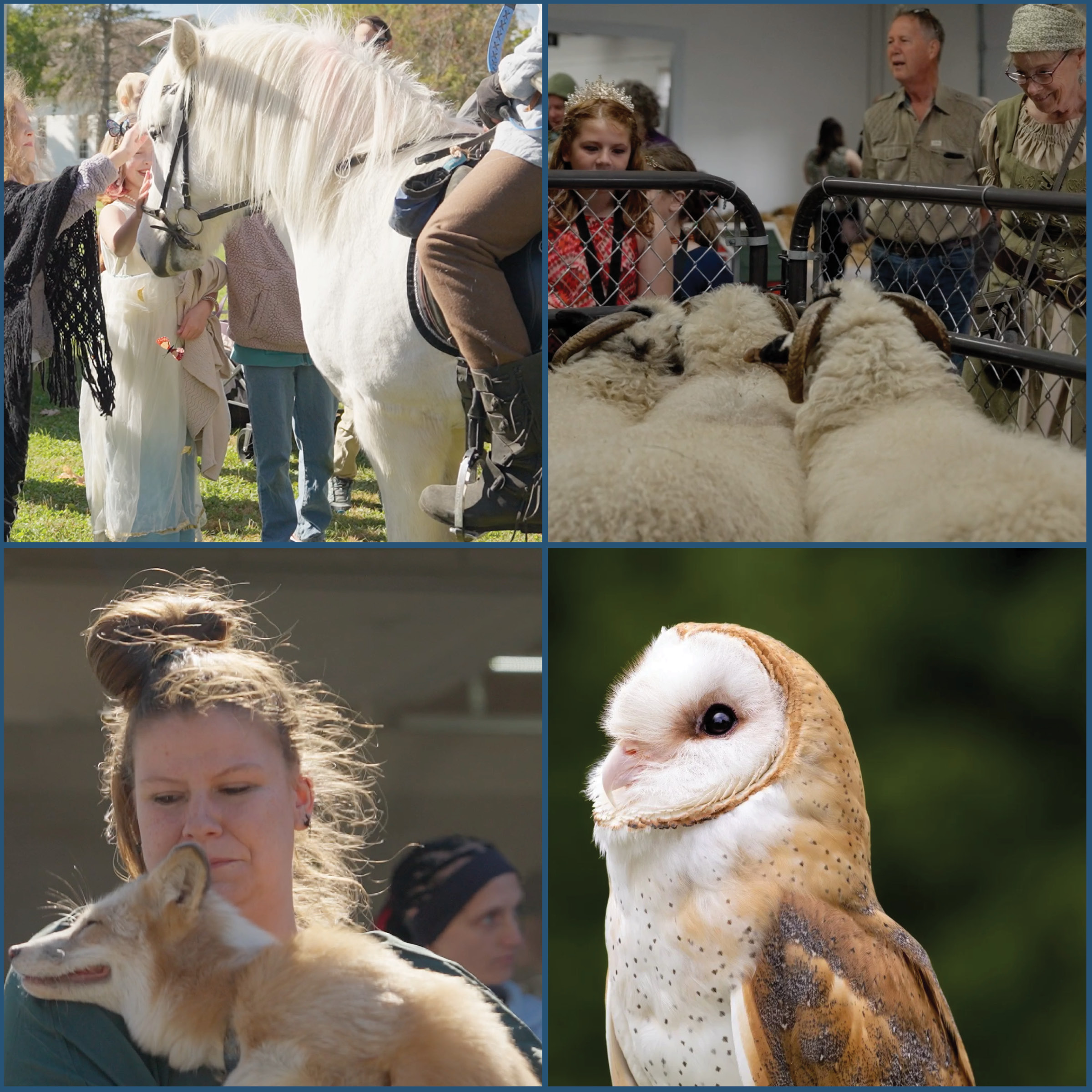 Our Animal Handler Highlights